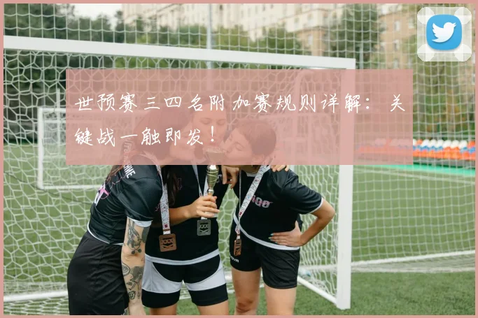 世预赛三四名附加赛规则详解：关键战一触即发！
