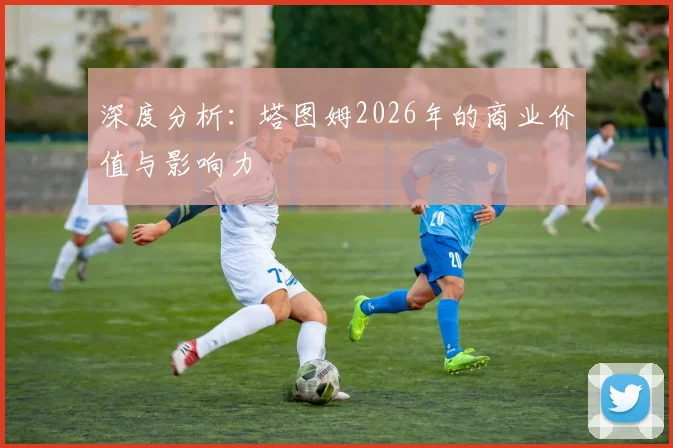 深度分析：塔图姆2026年的商业价值与影响力